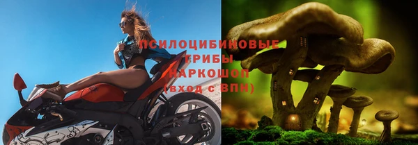СК Корсаков