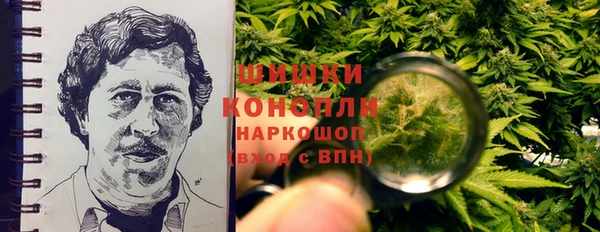 ECSTASY Кодинск