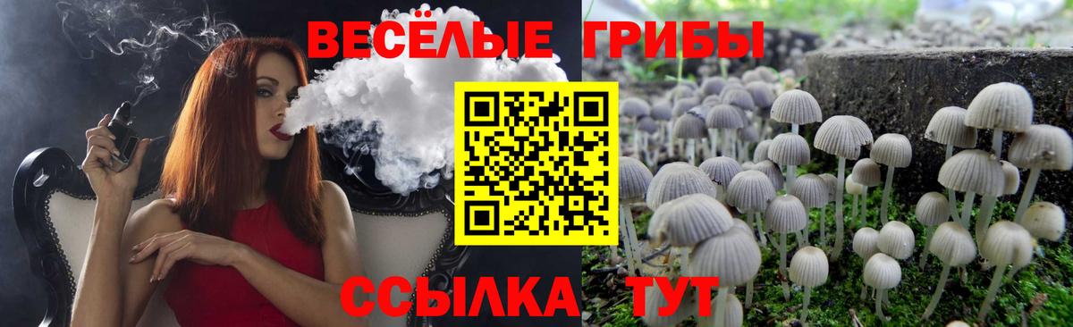 Псилоцибиновые грибы Psilocybine cubensis Минеральные Воды
